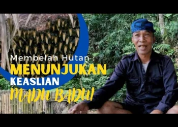 Membelah Hutan, Menunjukan Keaslian Madu Baduy