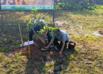 Masyarakat Lebak Diajak Tanam Pohon Bernilai Ekonomis