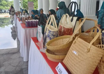 Salah satu stand UMKM, yang mengikuti Pembinaan Pemasaran Produk melalui Galeri Pelangi, bagi Pelatihan Kader Khusus (UP2K) yang dilaksankan oleh TP PKK Provinsi Banten, Selasa (9/7/2024). (LUTHFI/SATELITNEWS.COM)