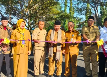 SDN Cilampang Butuh Penambahan Ruang Kelas, Kadisdik Kota Serang : Diupayakan 2025. (SIDIK/SATELITNEWS.COM)