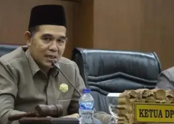 Ketua Banggar DPRD Pandeglang, Tb. Udi Juhdi. (DOKUMEN/SATELITNEWS.COM)