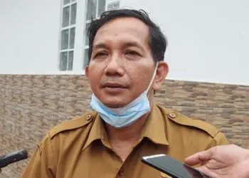 Plt Kepala DPMPD Kabupaten Pandeglang, Doni Hermawan. (DOKUMEN/SATELITNEWS.COM)