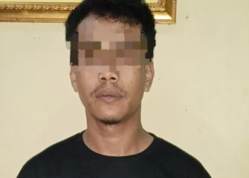 Pelaku penusukan ibu dan anaknya, diamankan polisi. (ISTIMEWA)