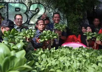 Urban Farming untuk Kendalikan Inflasi