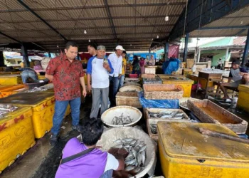 CEK HASIL TANGKAPAN: Arief Wismansyah melihat hasil tangkapan nelayan di wilayah Kronjo. ISTIMEWA