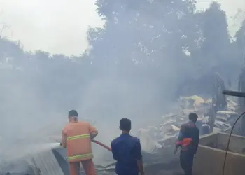 Petugas Damkar BPBD Kabupaten Serang, memadamkan kobaran api yang membakar kandang ayam di peternakan tersebut. (ISTIMEWA)