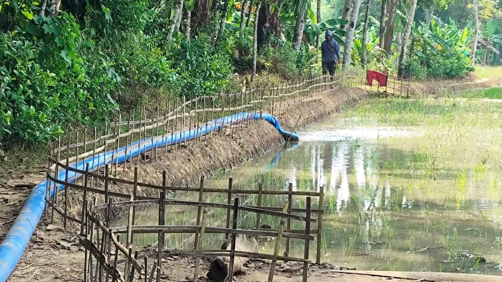 Salah satu areal persawahan, di Kecamatan Munjul, Kabupaten Pandeglang, dialiri air menggunakan Irpom. (ISTIMEWA)