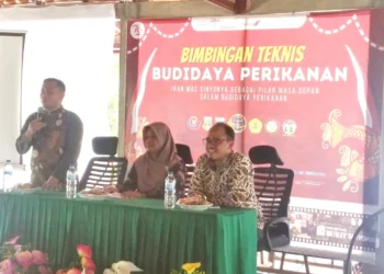 Gelar Festival, Ikan Mas Sinyonya Banjar Pandeglang Siap Menusantara