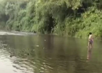 Sungai Ciujung Lebak Diduga Tercemar Limbah, Banyak Ikan Mati