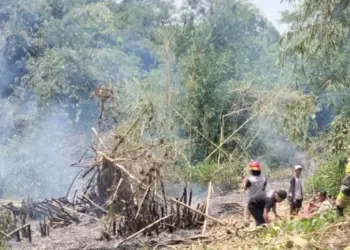 Lahan tandus di Desa Medalsari , Kecamatan Saketi, Kabupaten Pandeglang, terbakar, Minggu (15/9/2024). (ISTIMEWA)