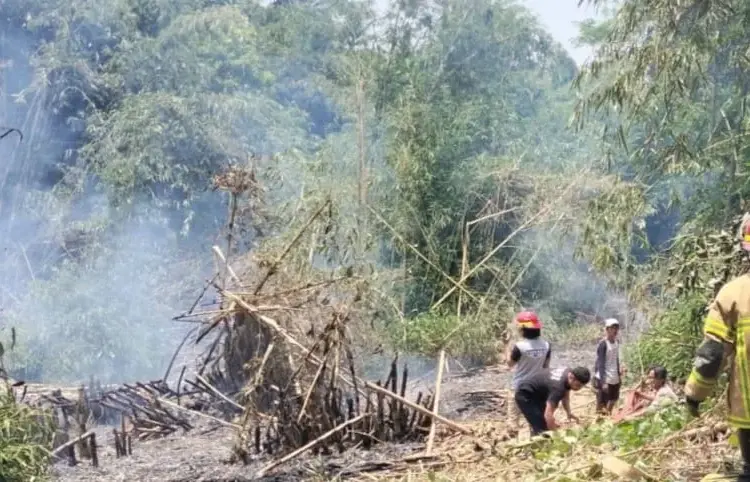 Lahan tandus di Desa Medalsari , Kecamatan Saketi, Kabupaten Pandeglang, terbakar, Minggu (15/9/2024). (ISTIMEWA)