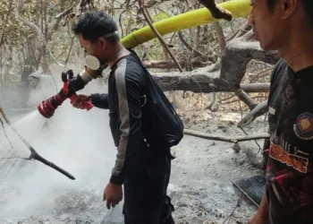 Petugas BPBDPK Kabupaten Pandeglang, memadamkan api di Pulau Deli, Kabupaten Pandeglang. (ISTIMEWA)