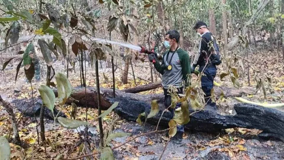 Petugas BPBDPK Kabupaten Pandeglang dan gabungan tim lainnya, memadamkan api yang membakar hutan di Pulau Deli, Kabupaten Pandeglang. (ISTIMEWA')