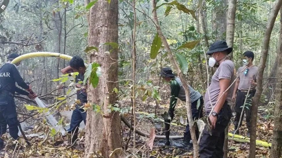 Petugas BPBDPK Kabupaten Pandeglang dan tim gabungan, masih berjibaku memadamkan api di Pulau Deli. (ISTIMEWA)