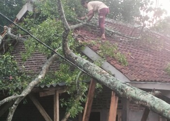 Puluhan Rumah Warga di Kabupaten Serang Porak Poranda Diterjang Puting Beliung