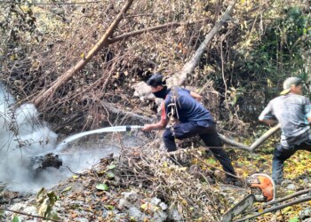 Petugas BPBDPK Kabupaten Pandeglang, sedang memadamkan api di Pulau Deli. (ISTIMEWA)