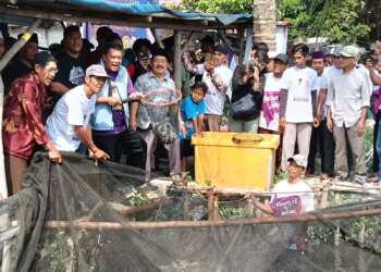 Panen Ikan Lele di Mekar Baru, Maesyal-Intan Ingin Tingkatkan Sarana Prasarana Pembudidaya