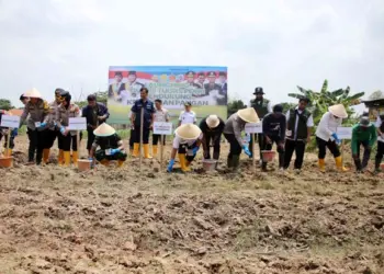 Pemkot Tangerang Bersama Polres Metro Tangerang Kota Tanam Bibit Jagung