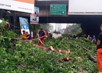 Pemilik Kendaraan yang Jadi Korban Pohon Tumbang di Kota Tangerang Ditanggung Asuransi