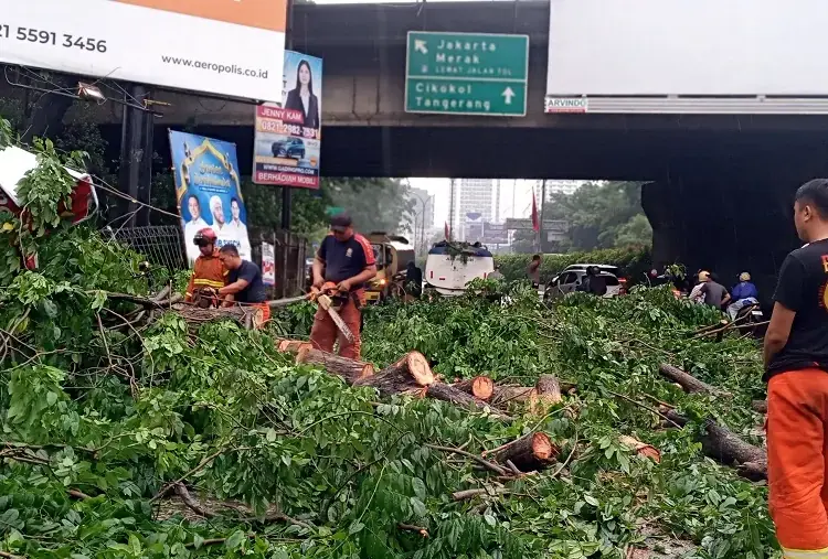 Pemilik Kendaraan yang Jadi Korban Pohon Tumbang di Kota Tangerang Ditanggung Asuransi