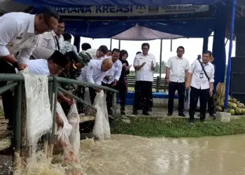 Menteri Desa PDT Dorong Lebak Jadi Penyuplai Bahan Baku Makan Bergizi Gratis