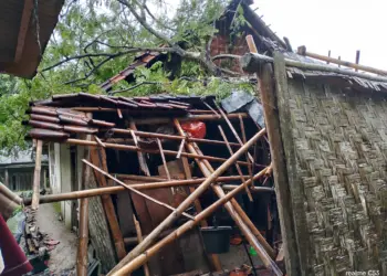 Rumah warga Kecamatan Cikeusik, Kabupaten Pandeglang, hancur karena tertimpa pohon, Senin (16/12/2024). (ISTIMEWA)