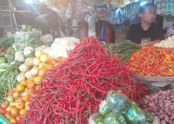 Jelang Nataru, Harga Pangan di Kota Tangerang Naik