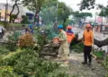 Pohon Tumbang, Jalan Raya Ciater Serpong Sempat Ditutup