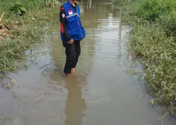 Badan Penanggulangan Bencana Daerah (BPBD) Kabupaten Serang, mencatat ada sebanyak 7 kecamatan di Kabupaten Serang terdampak bencana Hidrometerologi. Peristiwa tersebut, terlaporkan terjadi sejak Kamis (9/1/2025) hingga Sabtu (11/1/2025). (ISTIMEWA)