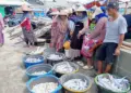 Sejumlah nelayan menjual ikan ditepi pantai Teluk, Kecamatan Labuan, Kabupaten Pandeglang. (ADIB FAHRIE/SATELITNEWS.COM)