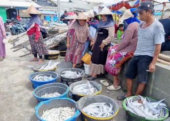 Sejumlah nelayan menjual ikan ditepi pantai Teluk, Kecamatan Labuan, Kabupaten Pandeglang. (ADIB FAHRIE/SATELITNEWS.COM)