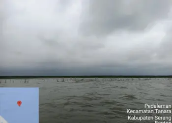 Setelah sebelumnya ramai pagar laut di wilayah Tangerang, kini pagar laut muncul di wilayah Desa Pedaleman, Kecamatan Tanara, Kabupaten Serang. Keberadaan pagar laut sepanjang 4 kilometer tersebut, juga dinilai mengganggu. (ISTIMEWA)