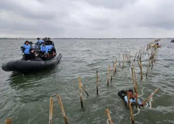 Hingga Hari Kelima, 50 Persen Pagar Laut di Tangerang Berhasil Dibongkar