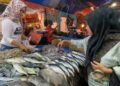 Harga Ikan di Pasar Rangkasbitung Mulai Mengalami Kenaikan